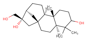 ent-kaurane-3,16,17-triol图片