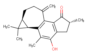 Jatropholone B图片