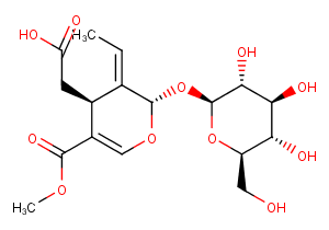 Oleoside 11-methyl ester图片