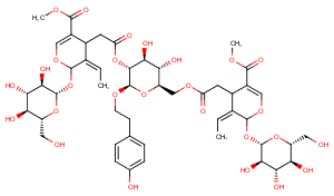 Oleonuezhenide图片