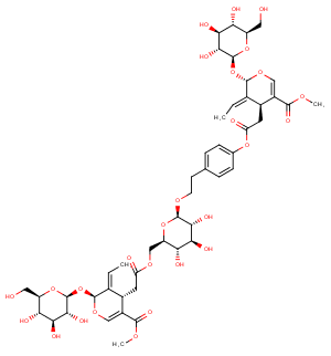 GL3图片