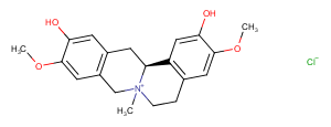 Phellodendrine chloride图片