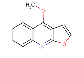 Dictamine图片