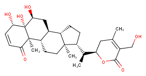 2,3-Didehydrosomnifericin图片