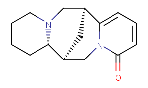 Thermopsine图片
