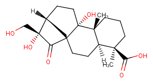 Pterisolic acid F图片