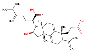 Poricoic acid A图片
