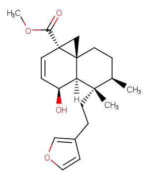 Methyl dodonate A图片