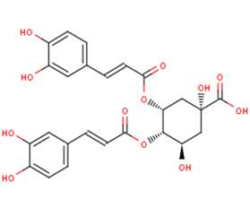 4,5-Dicaffeoylquinic acid图片