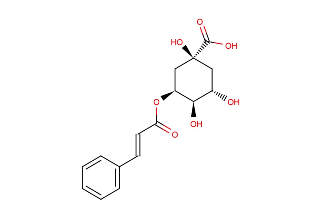 5-O-Cinnamoylquinic acid图片
