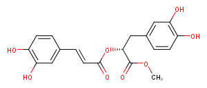 Methyl rosmarinate图片
