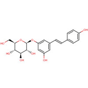 (E/Z)-Polydatin图片