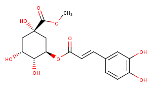 3-O-Caffeoylquinic acid methyl ester图片