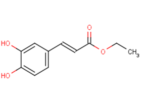 Ethyl trans-caffeate图片