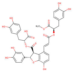 9'''-Methyl salvianolate B图片
