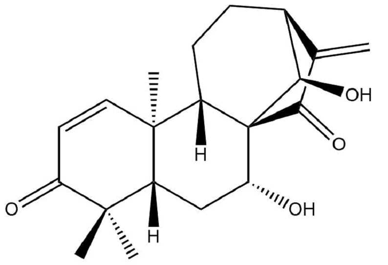 Liangshanin A图片