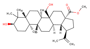 3,27-Dihydroxy-20(29)-lupen-28-oic acid methyl ester图片