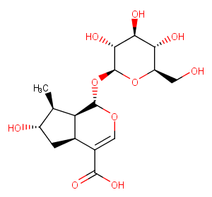 8-Epiloganic acid图片