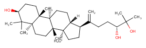 Dammar-20(21)-en-3,24,25-triol图片