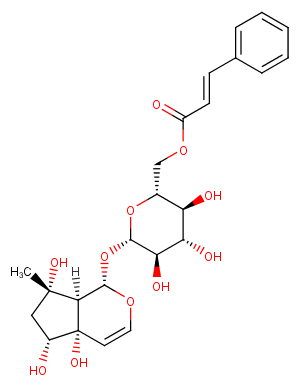 6'-O-Cinnamoyl harpagide图片