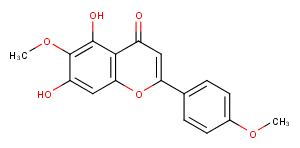 Pectolinarigenin图片