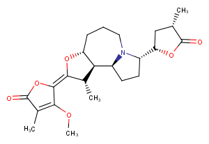 Protostemonine图片