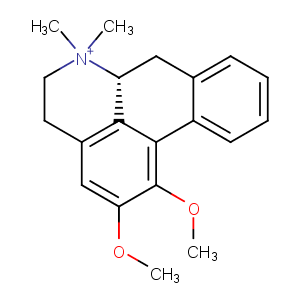 N-Methylnuciferine图片