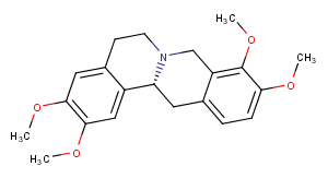 D-Tetrahydropalmatine图片