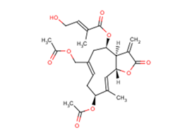 Eupalinolide B图片