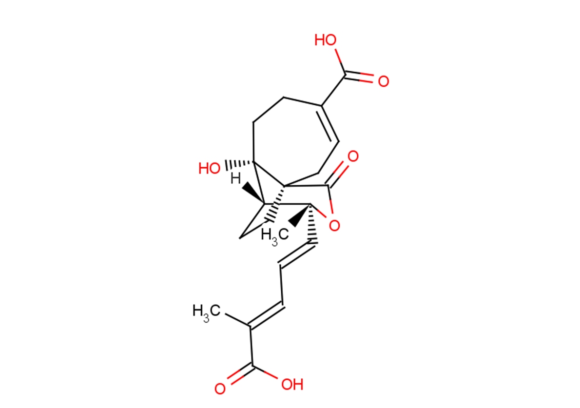 Demethoxydeacetoxypseudolaric acid B图片