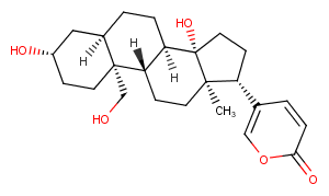 19-Hydroxybufalin图片