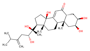 Polyporusterone B图片