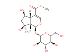 Shanzhiside methyl ester图片