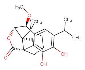 7-Methoxyrosmanol图片