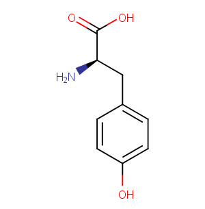 D-Tyrosine图片