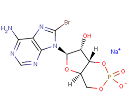 8-Bromo-cAMP sodium salt图片