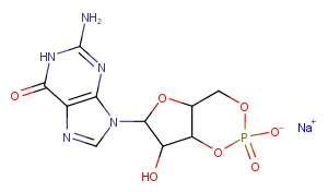 GUANOSINE 3':5'-CYCLIC MONOPHOSPHATE SOD图片