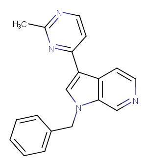 AZ-Dyrk1B-33图片