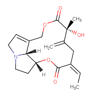 Seneciphylline图片