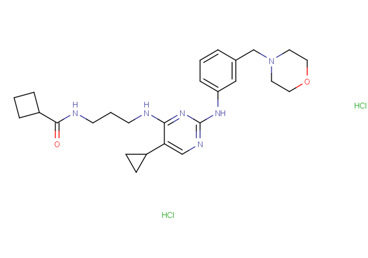 MRT 67307 dihydrochloride图片