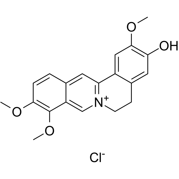 Jatrorrhizine chloride图片