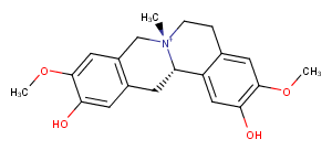 Phellodendrine图片