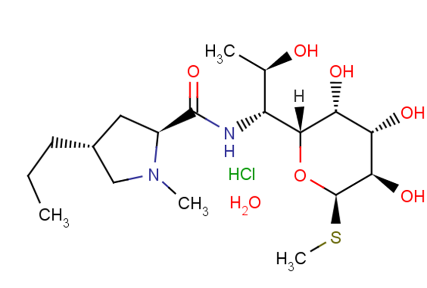 Lincomycin hydrochloride monohydrate图片