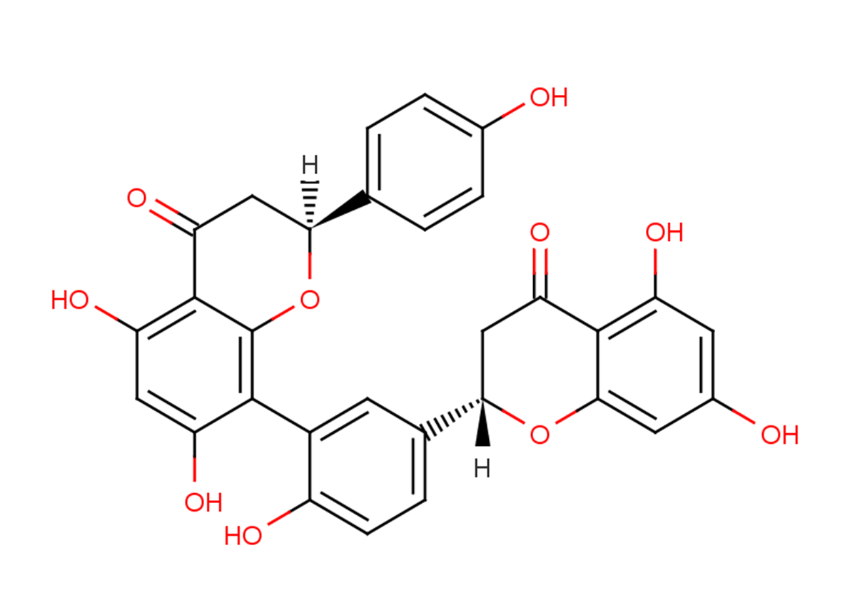 Tetrahydroamentoflavone图片