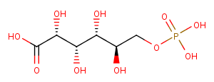 6-Phosphogluconic acid图片