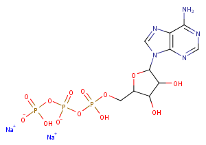 ATP disodium salt图片