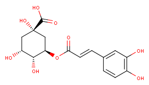 Chlorogenic acid图片