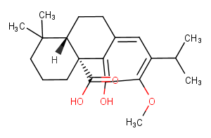 12-O-Methylcarnosic acid图片