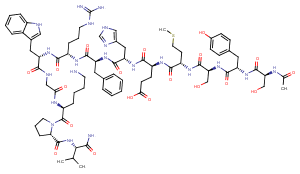 α-MSH图片