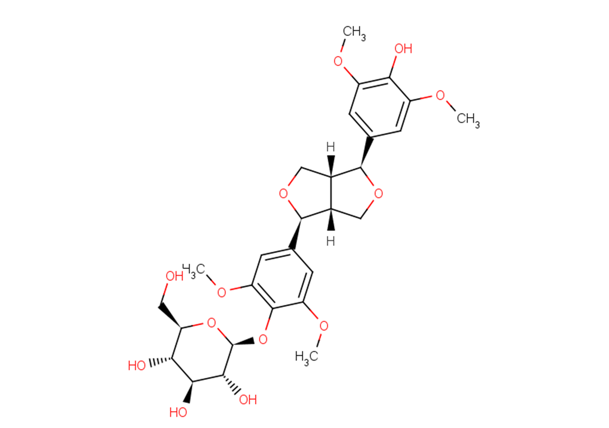 Acanthoside B图片